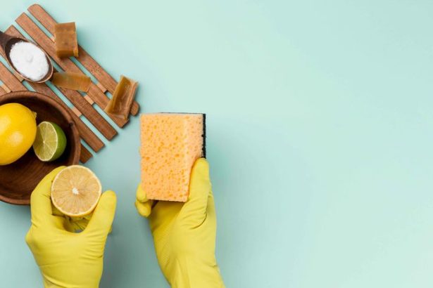 Ocot a citron proti vodnemu kamenu Lacne a ucinne riesenie