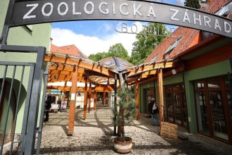 Preliezanie plotov a stuchanie zvierat palickami