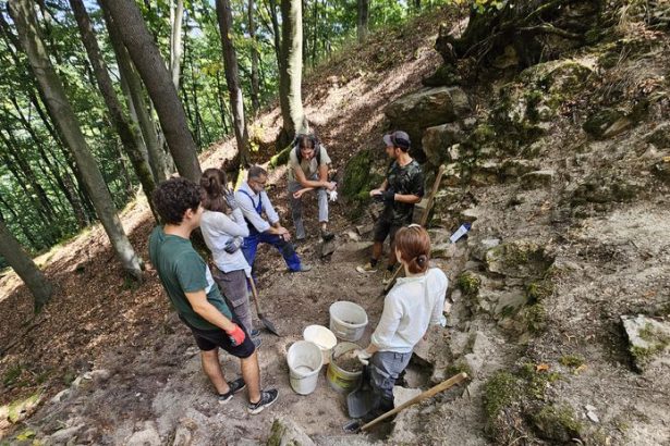 Cenne nalezy pomohol odkryt jazvec
