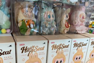 Labubu mania aj medzi pasermakmi Zadrzali 17 tisic plysovych monstier