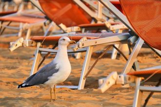 Mamma mia kde su dovolenky