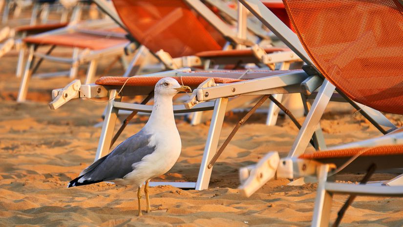 Mamma mia kde su dovolenky