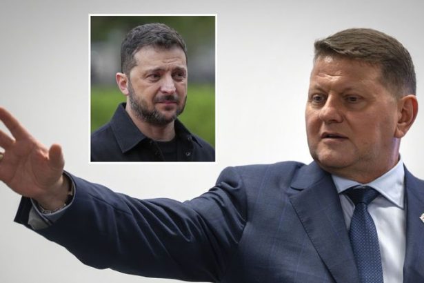 Postavi sa Zaluznyj vo volbach proti Zelenskemu