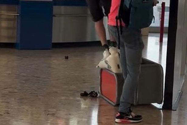 Boj o kazdy centimeter batoziny na letiskach