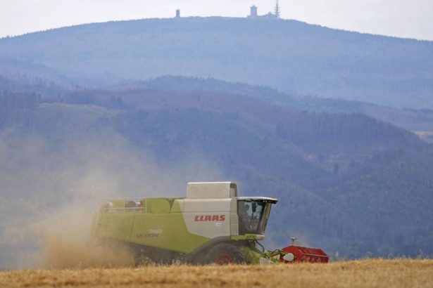 Generacia Z prichadza na polia Slovensko potrebuje restart potravinarstva