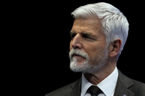 Staronovy premier Babis Pavel hlada sposoby ako odstavit sefa ANO Expert Bolo by to v sulade s ustavou