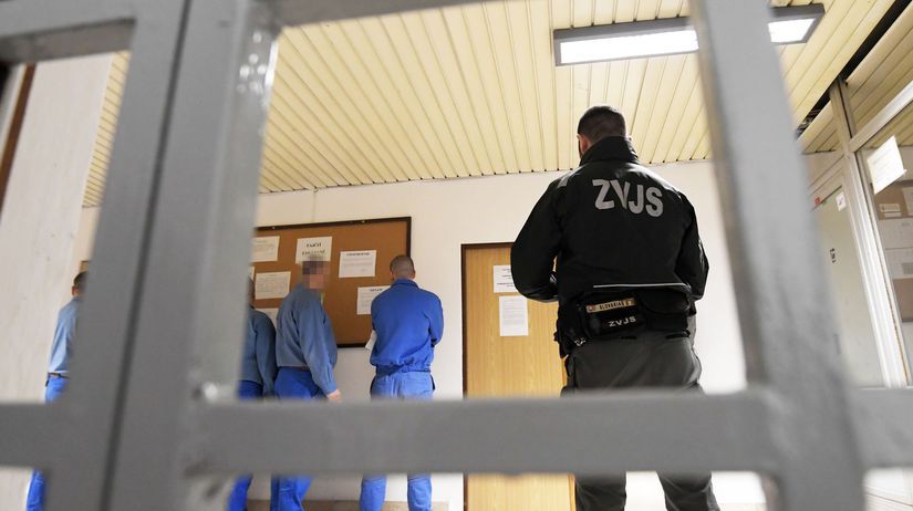 Akcia KARMA Inspekcia obvinila dozorcu za bil a vyhraza sa odsudenym