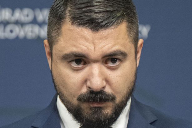 Pavol Gaspar oznamil kedy odstupi nehoda ho mrzi Sef SIS hovori ze Brat za brata je obcianske zdruzenie