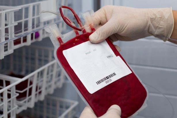 Umela krv Vedcom sa ju podarilo vypestovat v laboratoriu