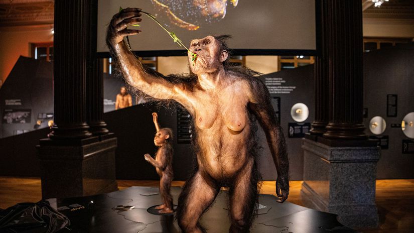 V Prahe si mozete pozriet praveku Lucy