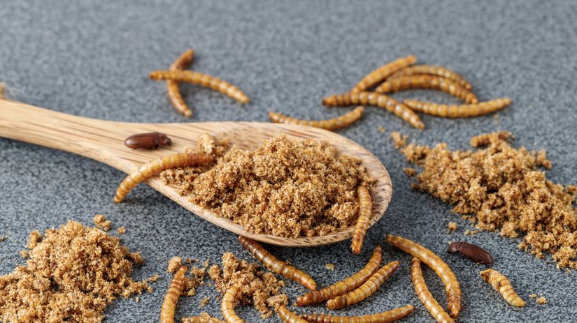 Brownies z mucneho cerva lepsie nez klasicke