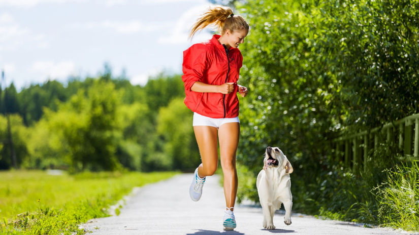 Europa miluje domacich milocikov Ktora krajina ma viac maciek a psov ako deti