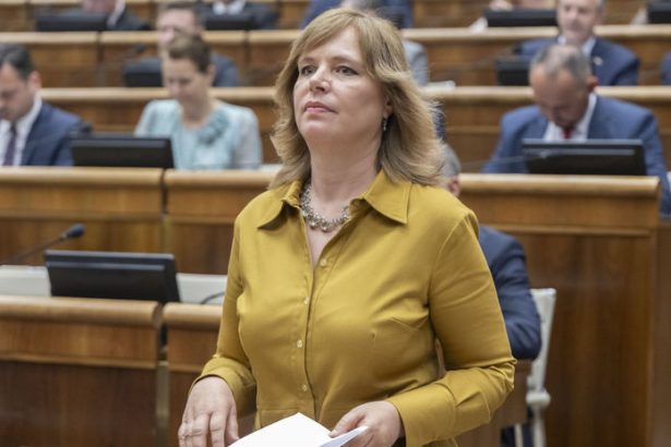 Fico priznal ze vystavil obyvatelstvo narastu kriminality tvrdi Remisova