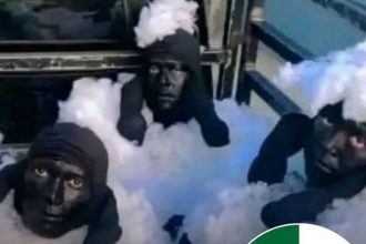 Nachytali aj vas Video o troch muhoch v ovciach