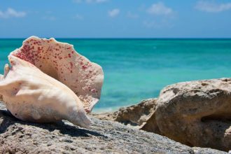 Najlepsie ostrovy sveta na navstevu v 2026