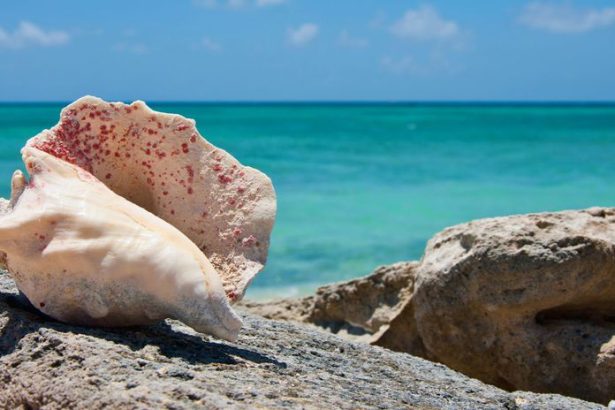 Najlepsie ostrovy sveta na navstevu v 2026