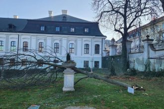 Pod oknami prezidenta je spadnuty strom