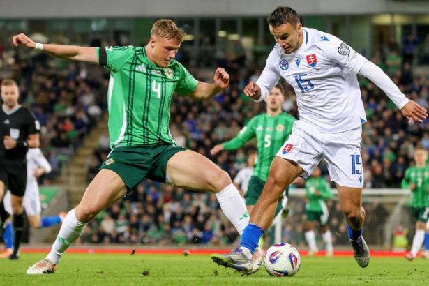 Prehra pred vypredanym Tehelnym polom a vitazstvo na snehu To sme my Slovaci Proti Severnym Irom treba srdce a usilie