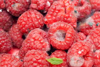 Pribudaju po sestdesiatke poskodzuju okolie