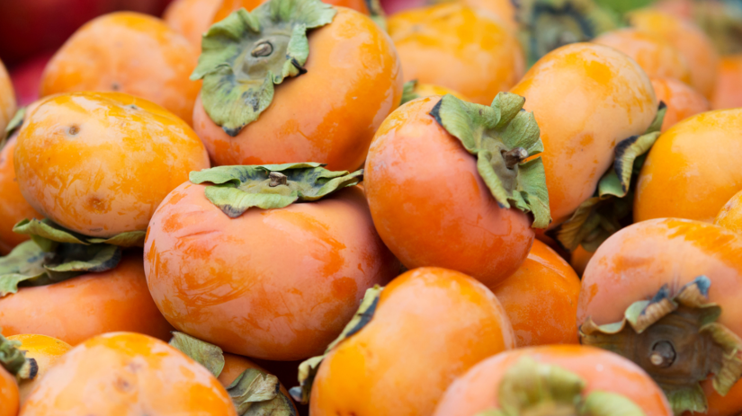 Trapia vas jesenne unavy a oslabena imunita