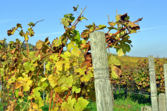 Karantena sa znova rozsirila deva okresov a spolocny zasah