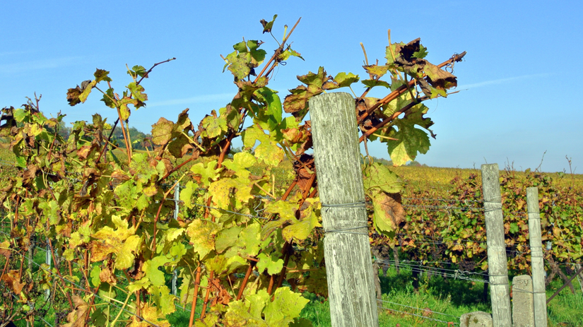 Karantena sa znova rozsirila deva okresov a spolocny zasah