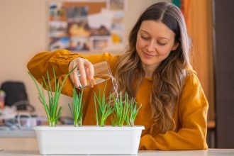 Ktoryu zeleninu a bylinky pestovat v zime