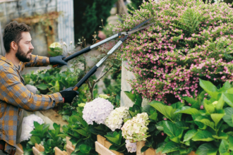 Najcastejsia chyba v zahrade Omladenie okrasnych krikov