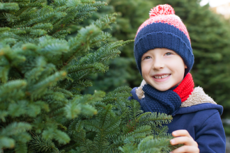 Nekupujte prvy vianocny stromcek ktory uvidite rozdiel medzi dovozom a slovenskym povodom je vyrazny