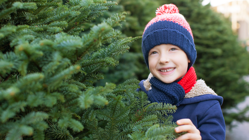 Nekupujte prvy vianocny stromcek ktory uvidite rozdiel medzi dovozom a slovenskym povodom je vyrazny