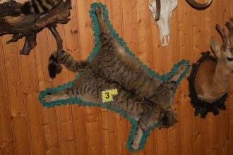 Nesuhlasite co mal doma Muz z Balone si skladoval chranene zivocichy za 47 tisic eur