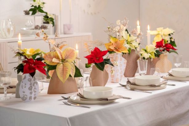 Skandinavsky minimalizmus a tradicna vyzdoba Vianocne ruze na sviatocny stol