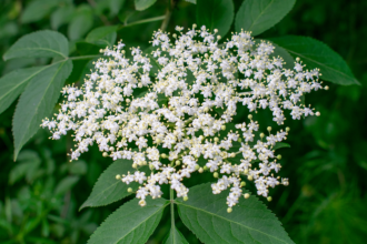 Vas metabolizmus sa zmeni za 7 dni