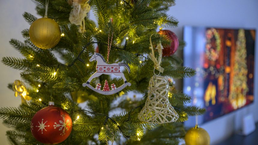 Vona ihlicia rozhoduje Cesta zivych stromcekov do obyvacky