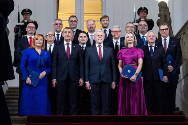 Ceny energii dane a zlavy Ceska vlada schvalila program Babis navrhne Turka na ministra