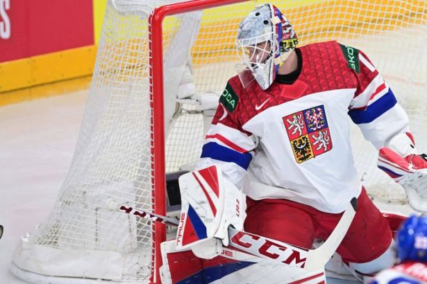 Ceska hviezda si ryplila do slovenskeho hokeja V NHL mame viac brankarov nez Slovaci hracov