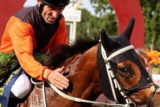 Energicky burlivak ktory nema rad velky rozruch v laske Slovenskym majitelom uz zarobil viac ako investovali