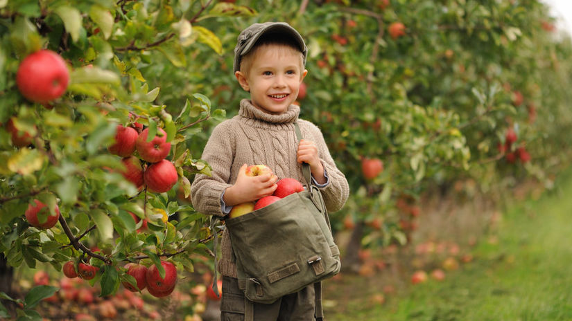 Mate malo miesta no chcete ovocie Tento tvar stromov premiena male zahrady na urodne