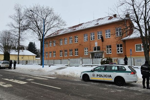 Obzvlas zvan zloin kladnej vrady tudenta obalovali po toku v Spisskej Starej Vsi
