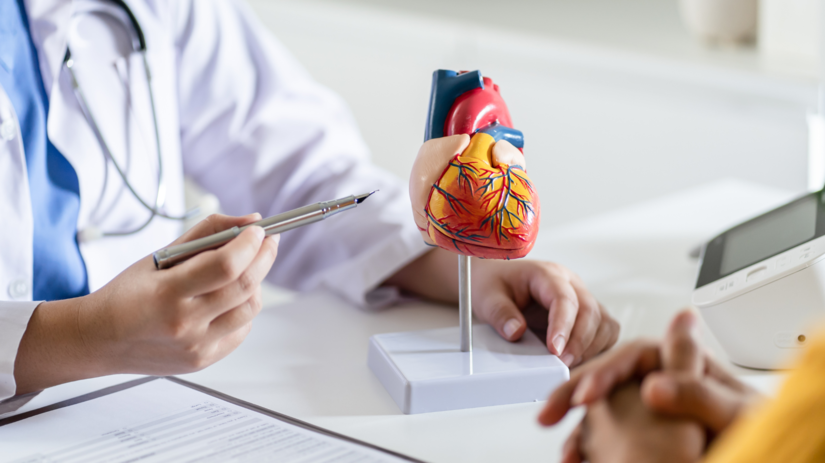 Prestante ju jest zdrave cievy Ticho nici srdce a zvysuje riziko infarktu