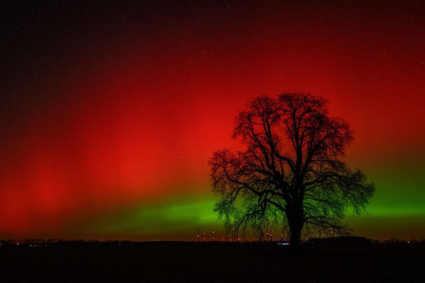 VIDEO Pozrite si jedinecne farebne divadlo na oblohe PolarNU ziaru bolo mozne pozorovat aj zo Slovenska