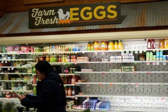 VIDEO Ziadne vajcia ziadne maslo Americania vyprazdnuju obchody snehova burku ohrozi 185 milionov ludi