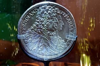 poklad z pinkovych krachan pri kopani bazena nasli v krchahu 364 vzacnych minci