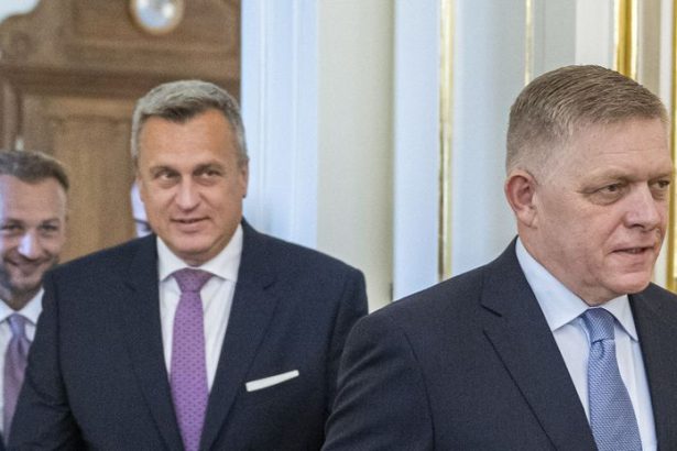 Hlas a SNS stoja za Ficom Ak Slovensko nie je partnerom pre Ukrajinu musi prijat opatrenia povedal Sutaj Estok