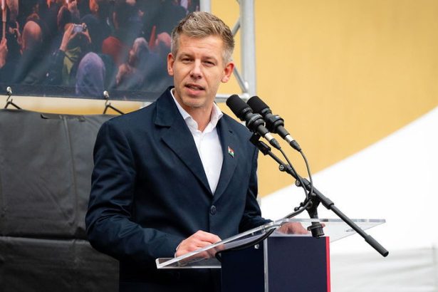 Kampan v Madarsku sa zintenzivnuje Fidesz ma intimne video o Magyare Lider opozicie priznal ze ho zviedla jeho byvala priatelka