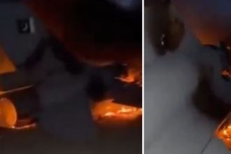 Nad Afgansitanom mala spadnut stihacka F 16 Po internete sa siri video horiaceho lietadla Aka je pravda