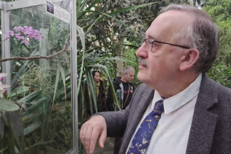 Orchidea bez ktorej by neexistovali tie vase v Kosiciach vystavuju mimoriadne vzacny druh