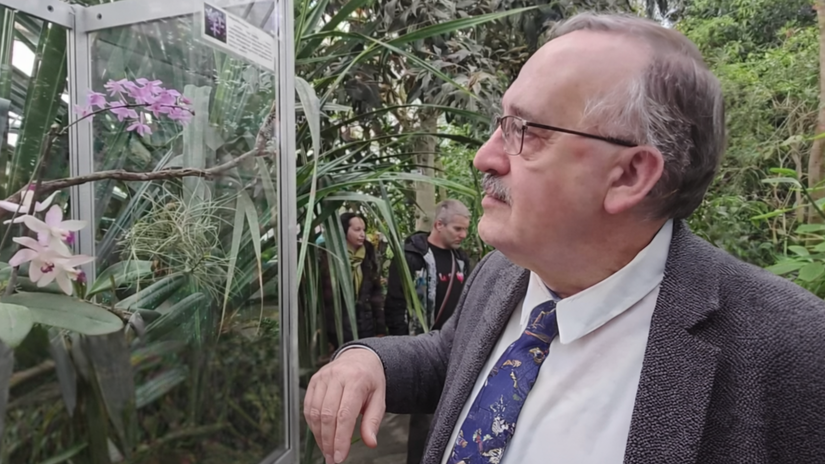 Orchidea bez ktorej by neexistovali tie vase v Kosiciach vystavuju mimoriadne vzacny druh