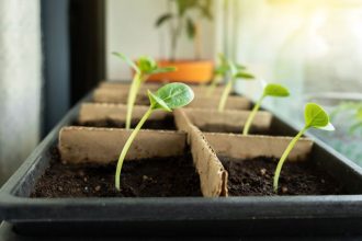 Preco parapet nad radiatorom skodi priesadam chyba ktora ich vytiahne do vysky