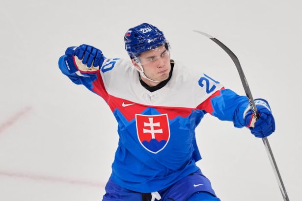 STVR musela celit necakanu problemu Hokej Vlhova a biatlon sa konaju takmer naraz Televizia vsetko nevysiela Vieme kde co sledovat